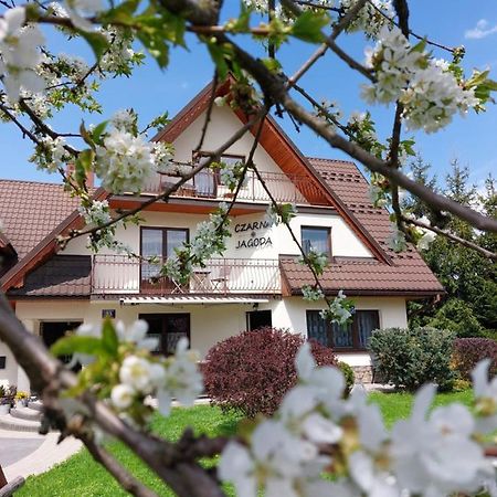 Czarna Jagoda Czarna Góra Zewnętrze zdjęcie