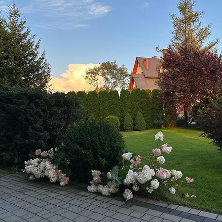 Czarna Jagoda Czarna Góra Zewnętrze zdjęcie