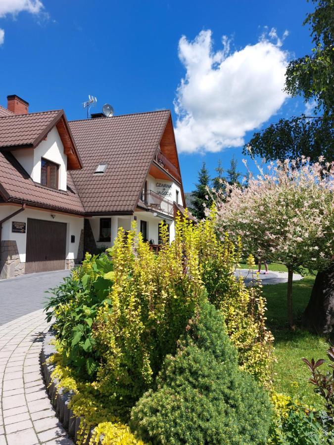 Czarna Jagoda Czarna Góra Zewnętrze zdjęcie