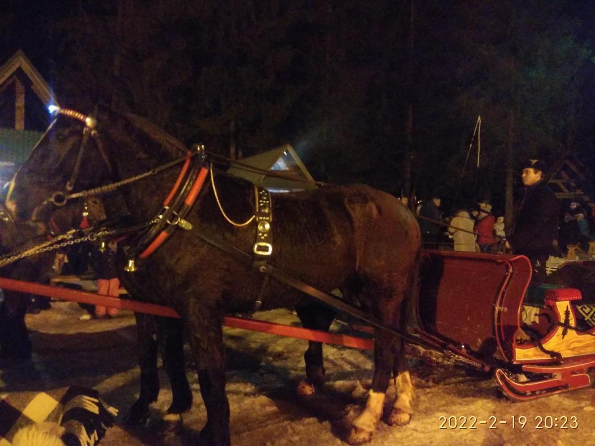 Czarna Jagoda Czarna Góra Zewnętrze zdjęcie